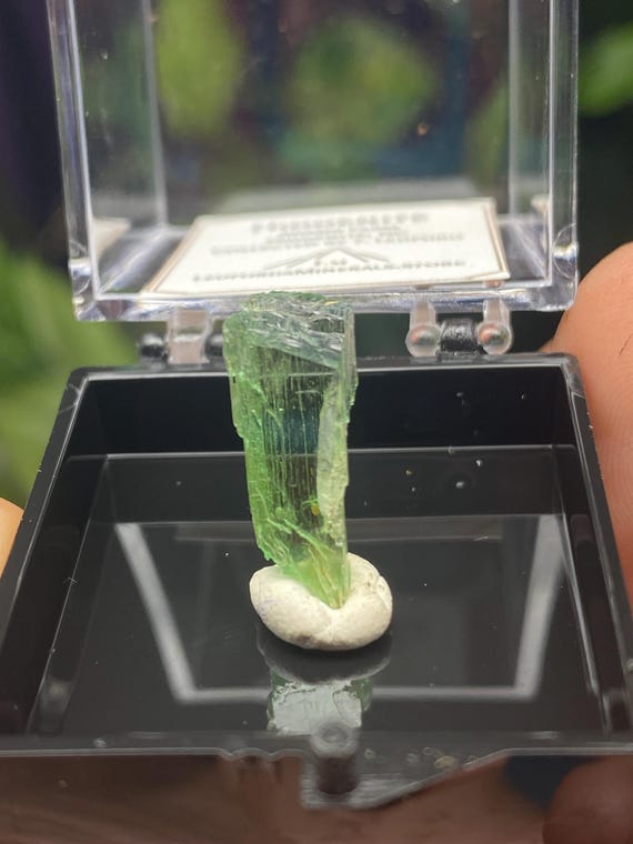 Rare Chromium Green North Carolina Hiddenite Spodumene Crystal Thumbnail