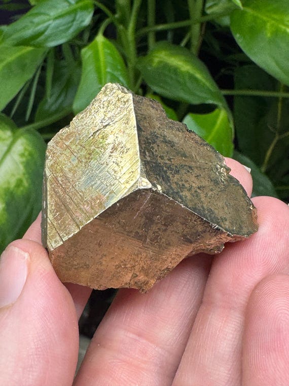 Pyrite- Purple Hope Claim, Washington~Ledford's Minerals