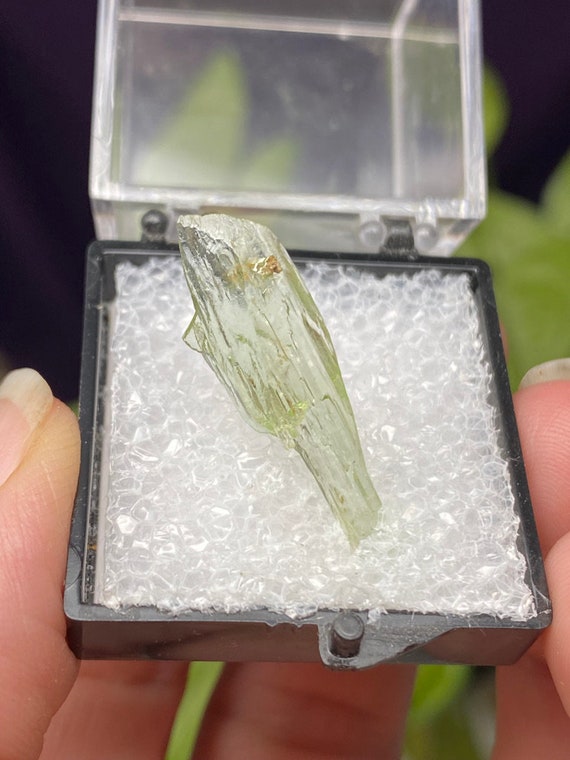 Rare Chromium Green North Carolina Hiddenite Spodumene Scepter ThumbnailEx Terry Ledford Collection~Nature Made Goods~Ledford's Minerals
