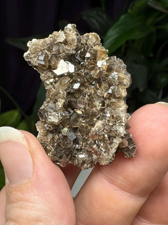 Muscovite Cluster~ Private Location, Lincolnton NC~Ex Terry Ledford Collection