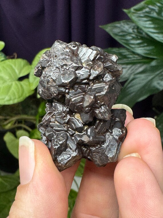 Egyptian Prophecy Stones~Marcasite and Pyrite Pseudomorph Limonite~Ledford’s Minerals