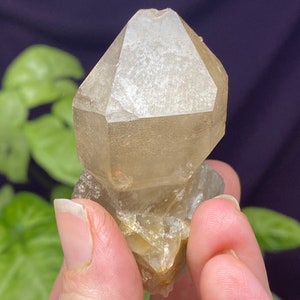 Hallelujah Junction Nevada Smoky Quartz Scepter