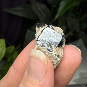 Puede incluir: Un pequeño cristal negro y plateado con una textura rugosa y natural. El cristal está incrustado en una matriz de roca blanca.