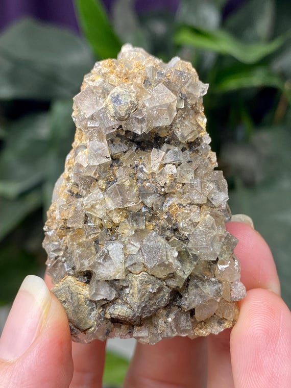 Diana Maria Fluorite on Matrix