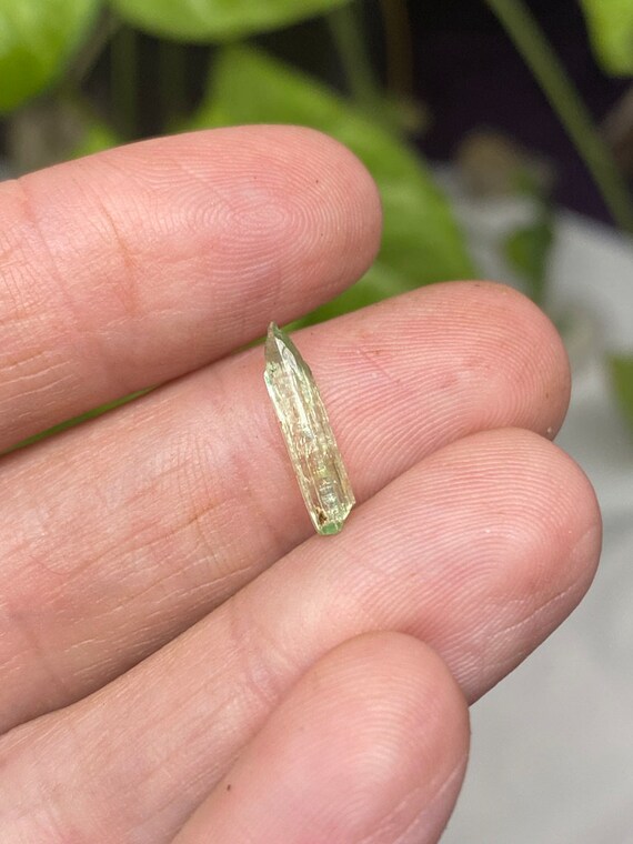 Rare Chromium Green North Carolina Hiddenite Crystal