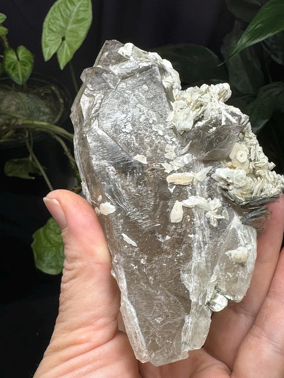 Beautiful  Double Terminated Hiddenite NC Quartz with Poker Chip Calcite~Ex Terry Ledford Collection