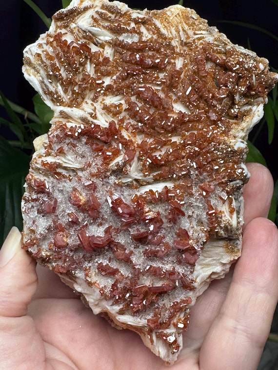 Lustrous Vanadinite on Barite~Morocco~Ledford’s Minerals