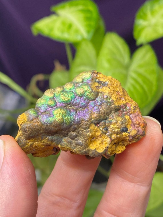 RARE North Carolina Crowder’s Mountain Iridescent Hematite