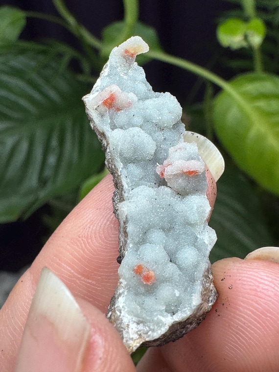 Quartz after Wulfenite Pseudomorph on Chalcedony~4 x 1cm~The Finch Mine, Gila County, Arizona~Ledford’s Minerals