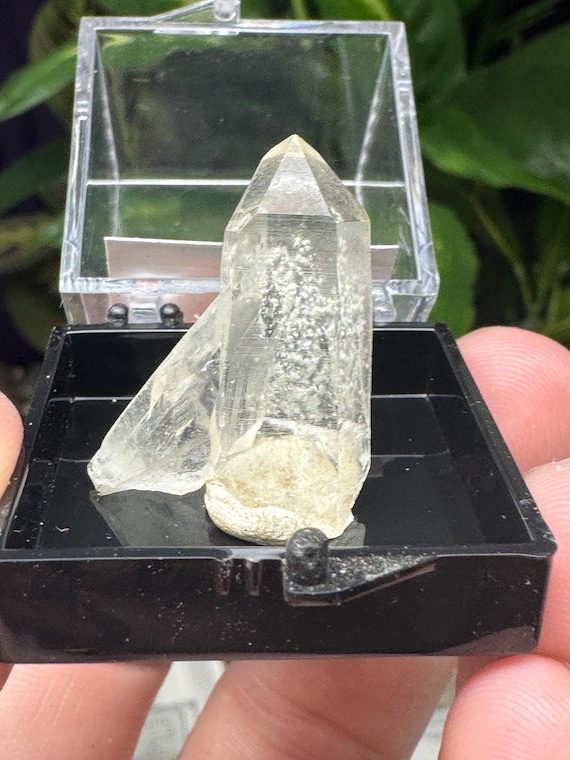 Quartz Crystal Thumbnail ~Purple Hope Claim~Washington~Collected by Joseph George~Ledford’s Minerals