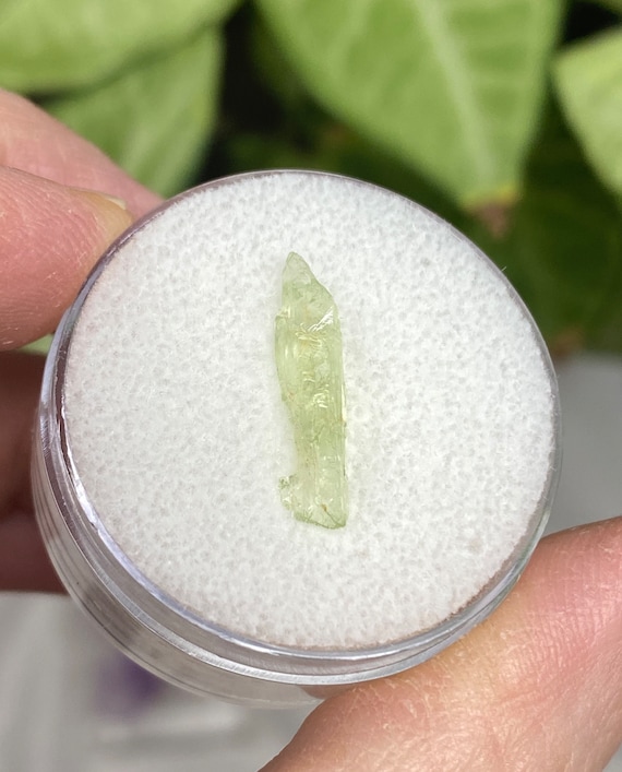 Rare Chromium Green North Carolina Hiddenite Crystal