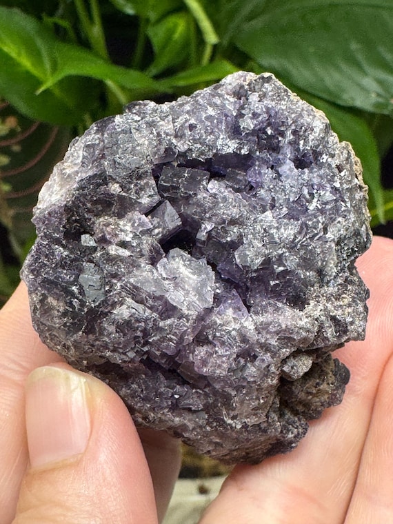 Purple Fluorite~Elmwood Mine~Smith County, Tennessee~Ledford’s Minerals