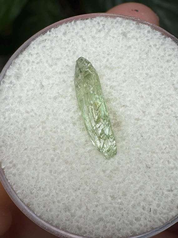 Rare North Carolina Hiddenite Crystal Ex Terry Ledford Collection~Crystalline Dream Minerals~Ledfords Minerals