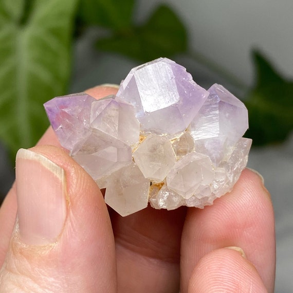 Lustrous Jackson's Crossroads Amethyst Cluster