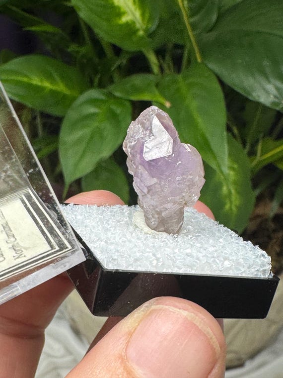 Vibrant Lilac Cabarrus County North Carolina Amethyst Thumbnail~Ledford’s Minerals