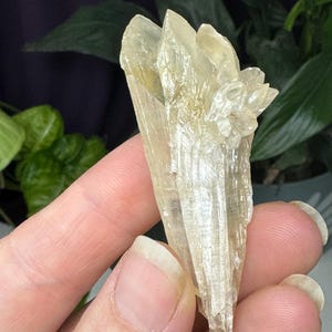 Fine Calcite~Crystal River #2 Quarry~Lecanto, Citrus County, Florida~Rare Locality