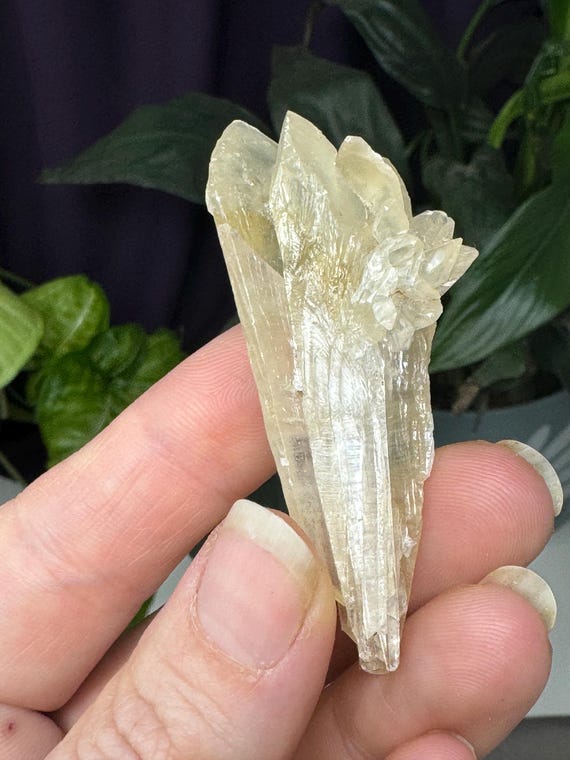 Fine Calcite~Crystal River #2 Quarry~Lecanto, Citrus County, Florida~Rare Locality