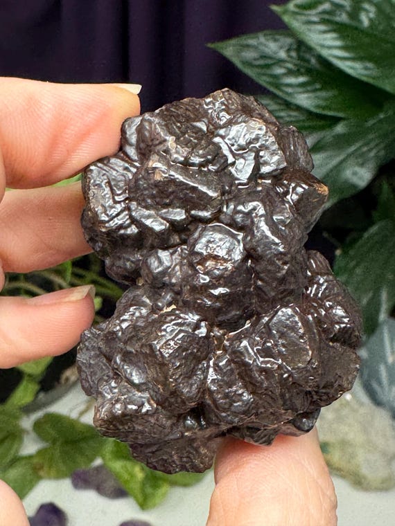 Egyptian Prophecy Stones~Marcasite and Pyrite Pseudomorph Limonite~Ledford’s Minerals