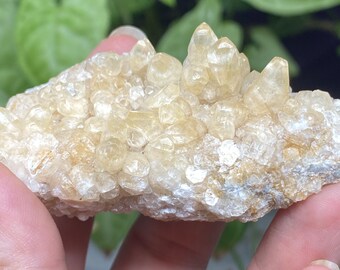 Woodlawn Quarry NC Calcite Cluster