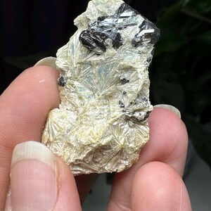 Puede incluir: Un cúmulo de cristales brillantes de color claro con un cristal negro, brillante y facetado en la parte superior.