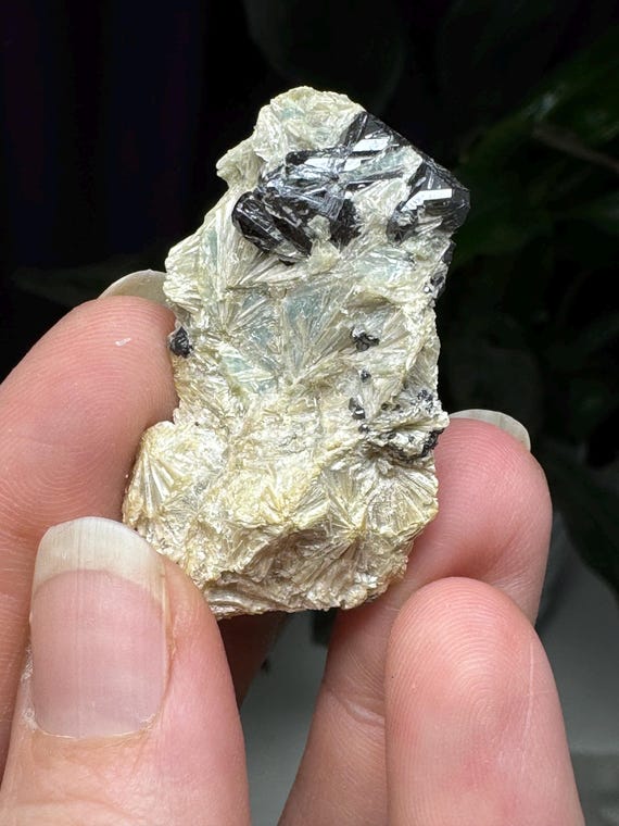 Graves Mountain Blue Kyanite and Pyrophyllite with Rutile~Ex Terry Ledford Collection