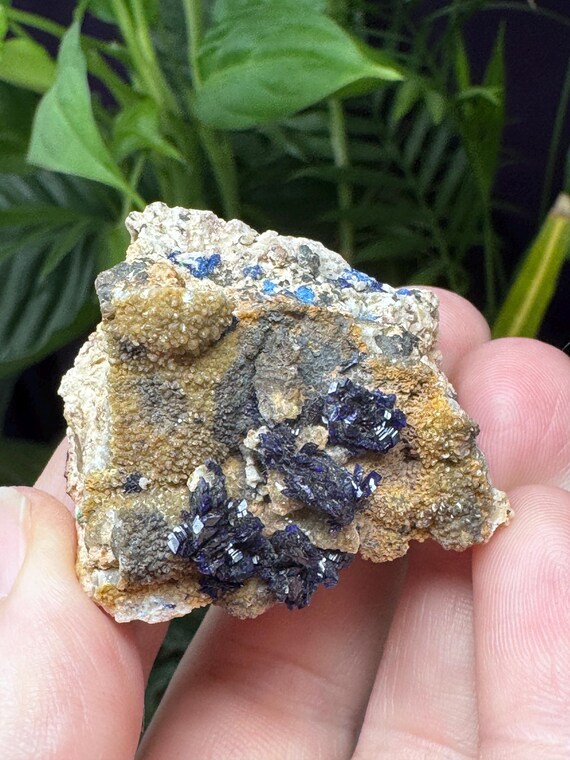Azurite~Socalo Mine~Zacatas, Mexico~Nature Made Goods~Ledford’s Minerals