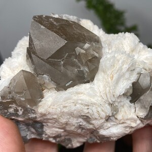 May include: A cluster of smoky quartz crystals with a light brown hue, nestled in a bed of white, fibrous mineral. The crystals have a sharp, geometric shape and are partially translucent.