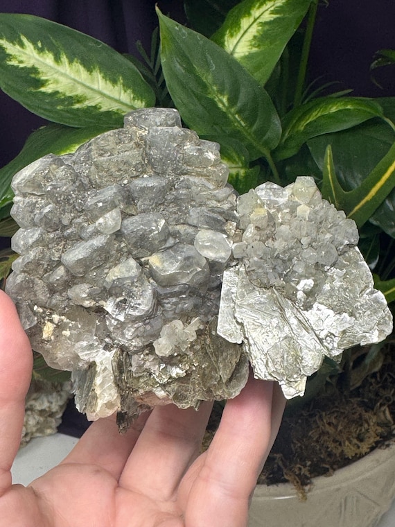 Calcite Cluster with Mica and Pyrite Inclusions ~NAEM(North Carolina Emerald Mine) Calcite with Mica~Ex Terry Ledford~Ledford’s Minerals