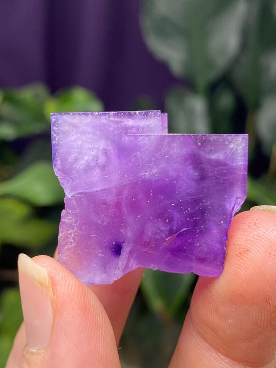 Hasties Quarry Illinois Fluorite with UV Reactive Petroleum Inclusions
