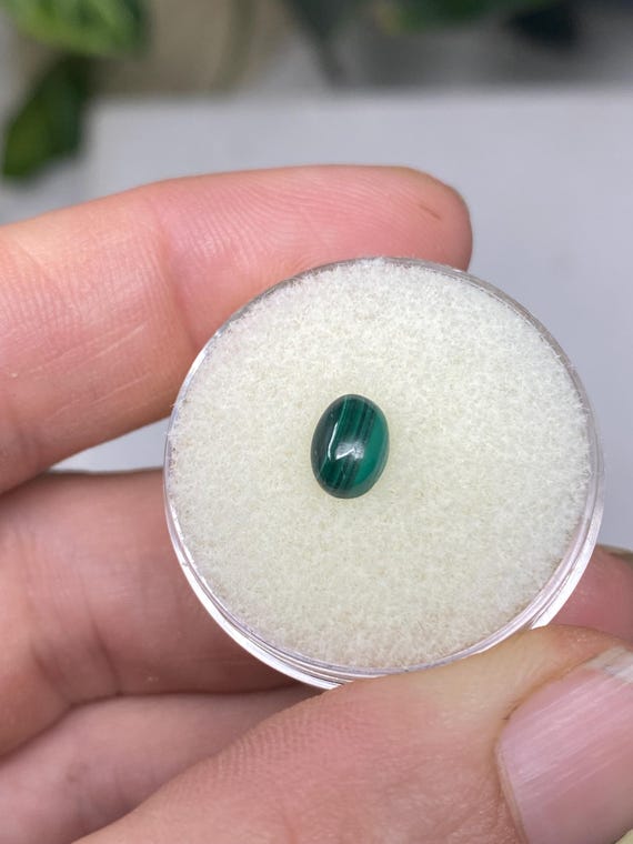 Beautiful Oval Malachite Cabachon Stone~Nature Made Goods~Ledford's Minerals