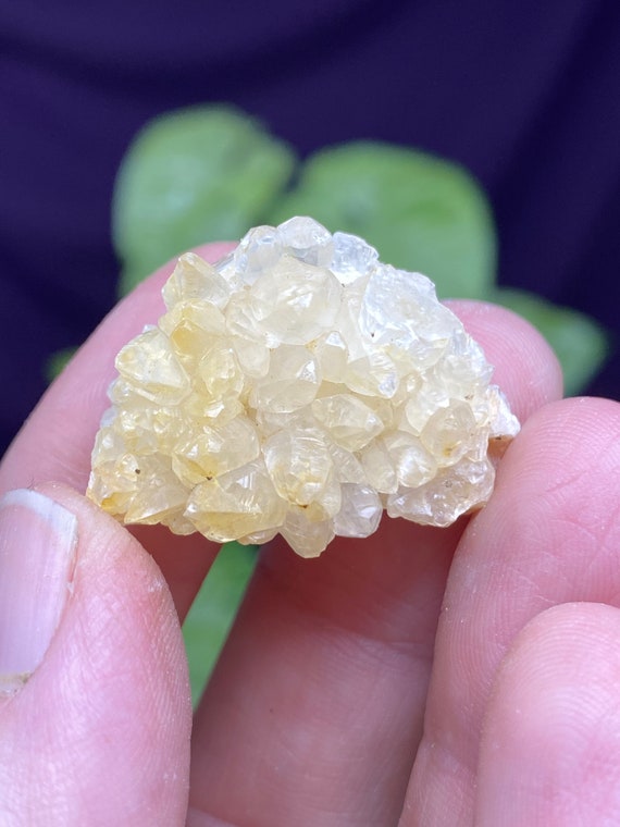 RARE Woodlawn Quarry NC Calcite Cluster