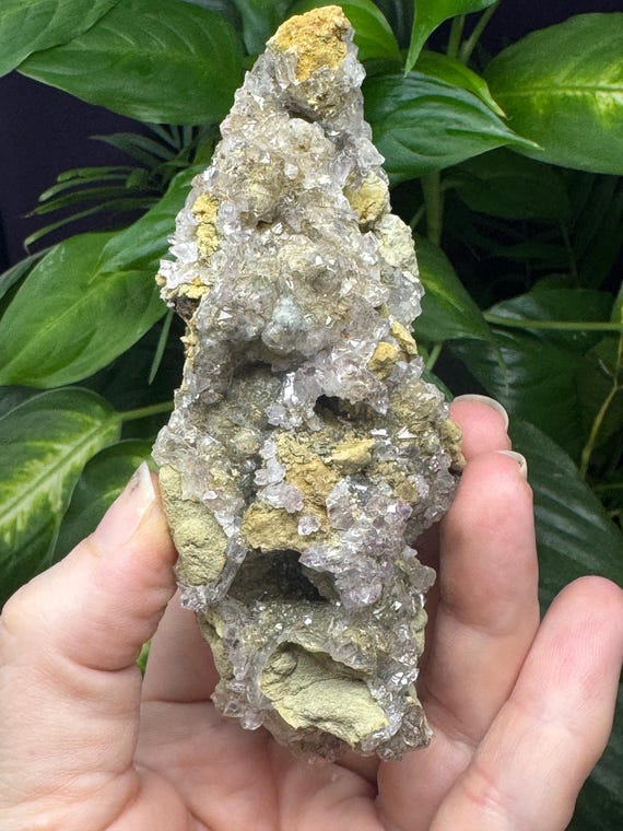 Amethyst with Pyrite Inclusions on Botryoidal Matrix~HIddenite NC~EX Terry Ledford Collection