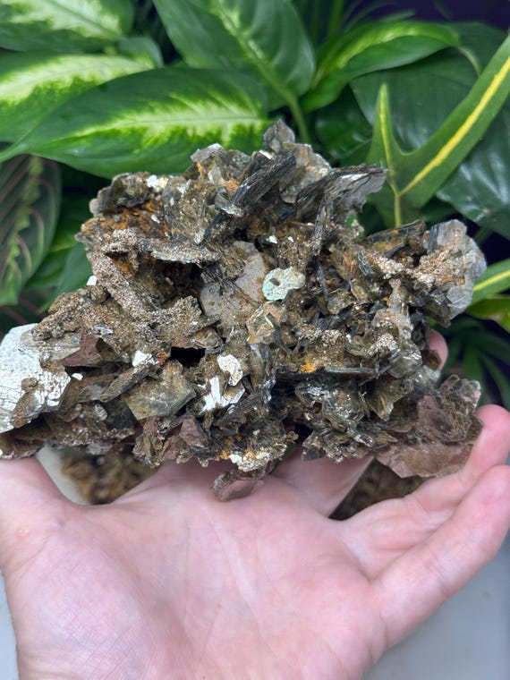 Large Muscovite Cluster with Albite and red Rutile~NAEM(North Carolina Emerald Mine)~Ex Terry Ledford Collection~Ledford’s Minerals