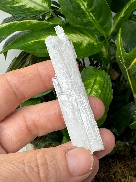 Scolecite~India~Ledford’s Minerals