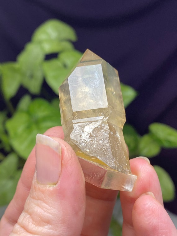 Hallelujah Junction Nevada Smoky Quartz Scepter