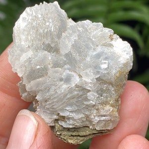 Mica with Calcite Mica with pyrite Inclusions