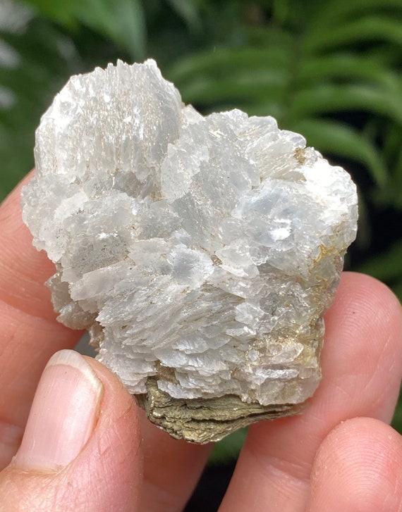 Mica with Calcite Mica with pyrite Inclusions