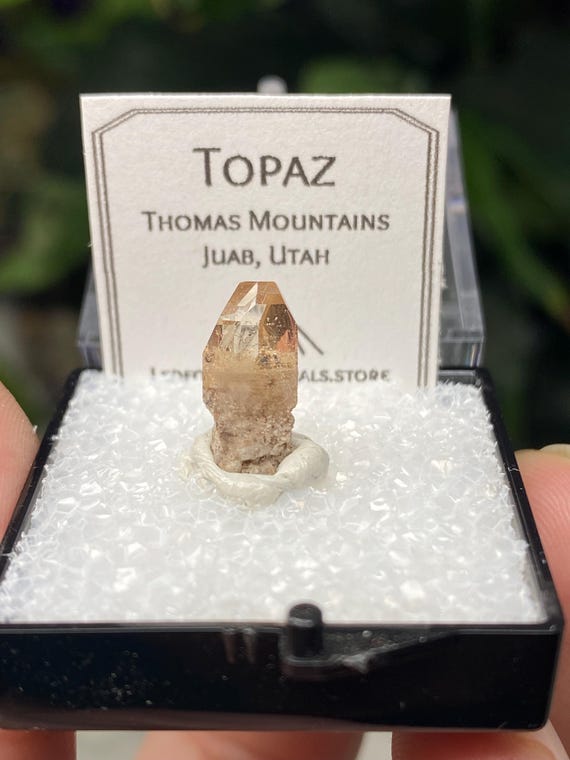 Thomas Mountains Utah Topaz Thumbnail~Nature Made Goods~Ledford's Minerals