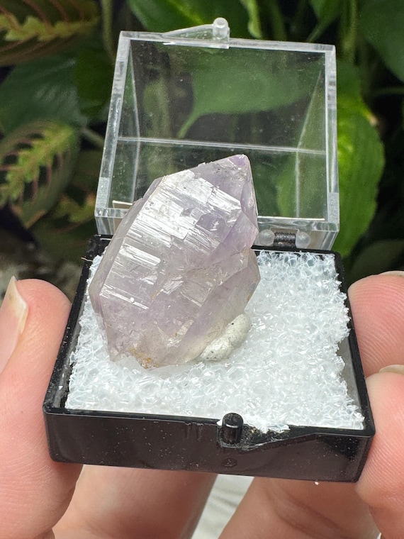 Vibrant Lilac Cabarrus County North Carolina Amethyst Thumbnail~Ledford’s Minerals