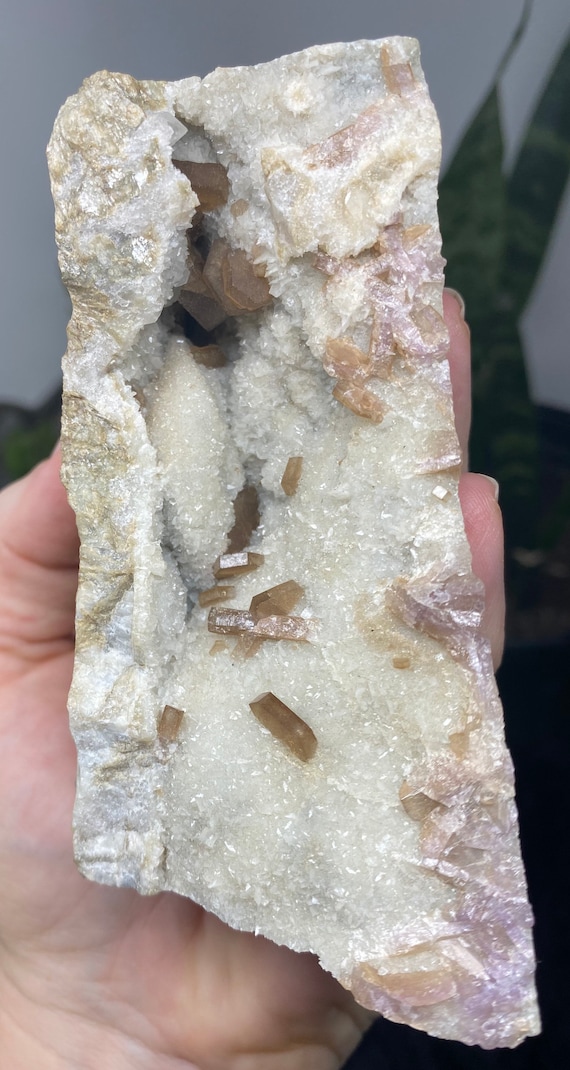 Root Beer Apetite ~Foote Mine~Kings Mountain North Carolina~Ledford’s Minerals