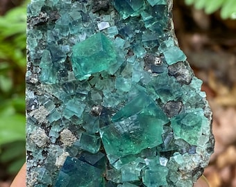 Diana Maria Fluorite