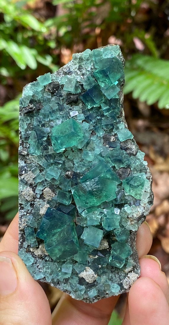 Diana Maria Fluorite