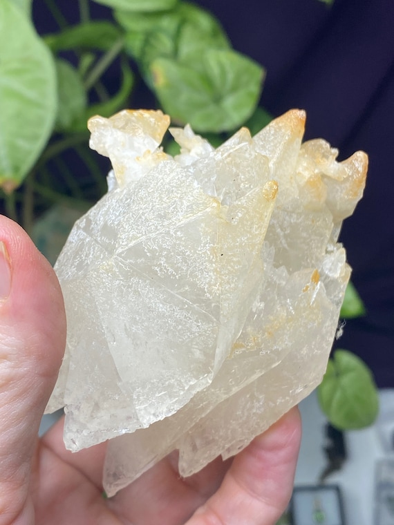 Etched Kentucky Dogtooth Calcite Cluster