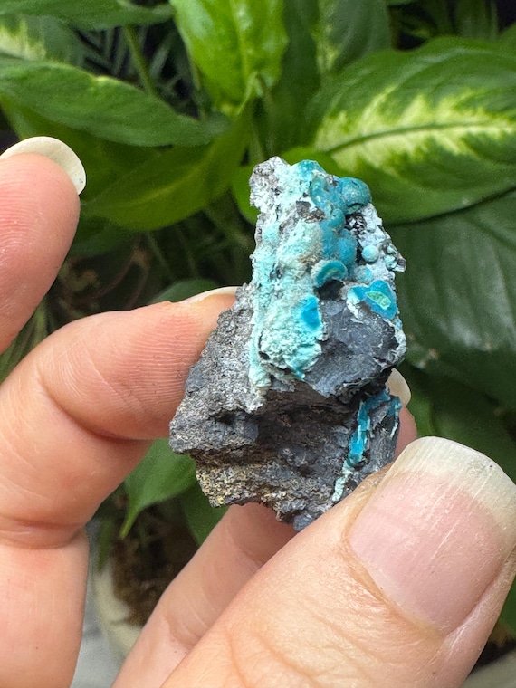 Chrysocolla~The Planet Mine~Arizona~Nature Made Goods~Ledford’s Minerals