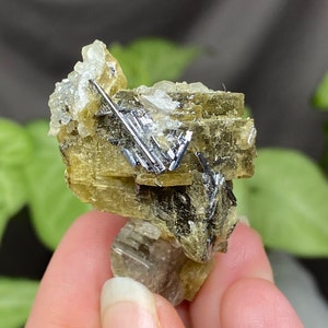 Amas de sidérite avec calcite et rutile