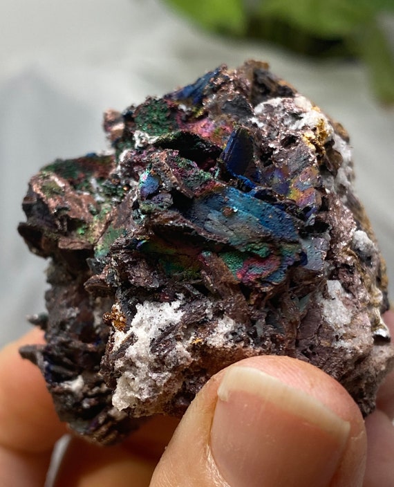 Quartz and Kyanite With Iridescent Hematite