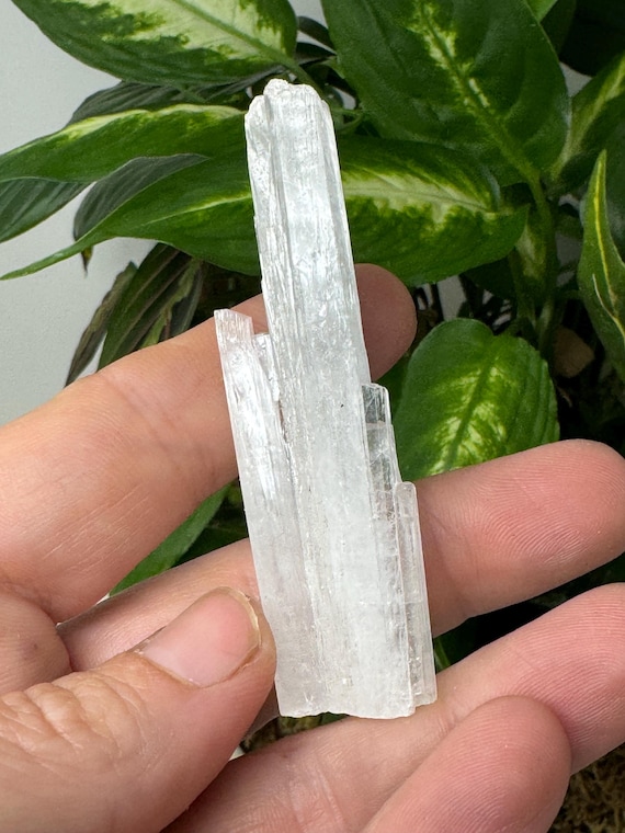Scolecite~India~Ledford’s Minerals