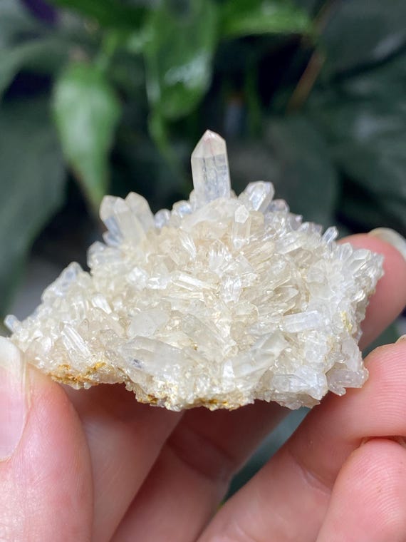 Jackson’s Crossroads Amethyst Mine Quartz Druzy