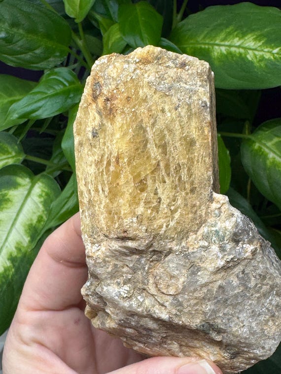 Heliodor with Mica~ Canford Prospect~Mitchell County, North Carolina~Ledford’s Minerals