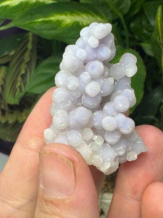 Purple Grape Agate~Indonesia ~Ledford’s Minerals